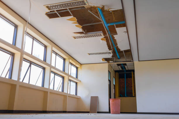 Best Mold removal after water damage  in Evans City, PA
