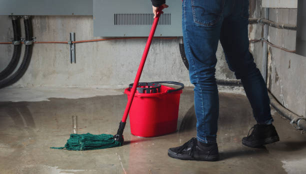 Best Mold removal after water damage  in Evans City, PA