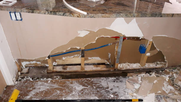 Best Fire Damage Restoration  in Evans City, PA