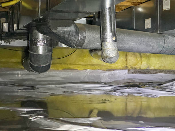 Best Ceiling water damage repair  in Evans City, PA