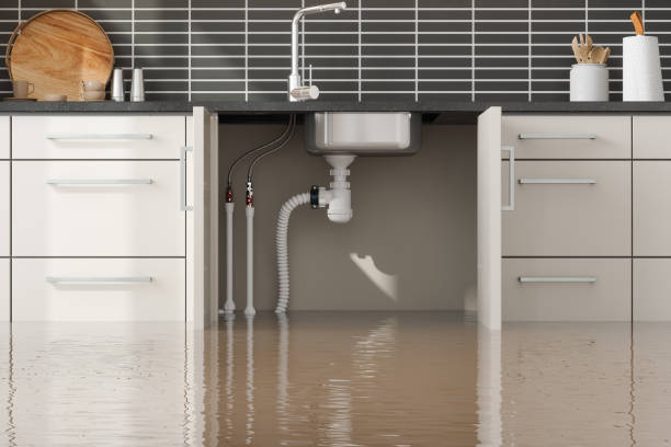 Best Flooded house restoration  in Evans City, PA